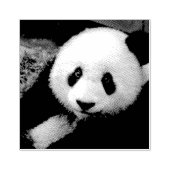 PANDA BEAR FOTORAPHIE RUBBER BRIEFMARKE GUMMISTEMPEL (Prägung)