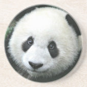 Panda Bear Getränkeuntersetzer (Vorne)
