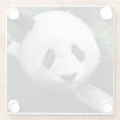 Panda Bear Glasuntersetzer (Rückseite)