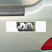 Panda Bear Hugs Autoaufkleber (Auf Auto)