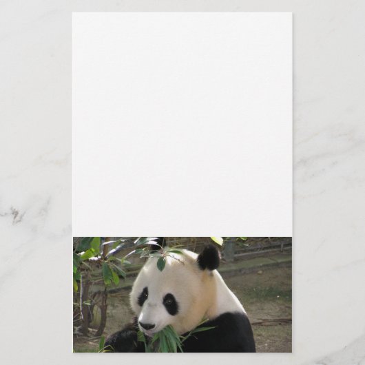 Panda Bear Hugs Briefpapier (Vorderseite)