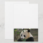 Panda Bear Hugs Briefpapier (Vorne/Hinten)