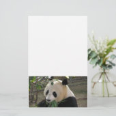 Panda Bear Hugs Briefpapier (Stehend Vorderseite)