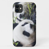 Panda Bear Hugs Case-Mate iPhone Hülle (Rückseite)