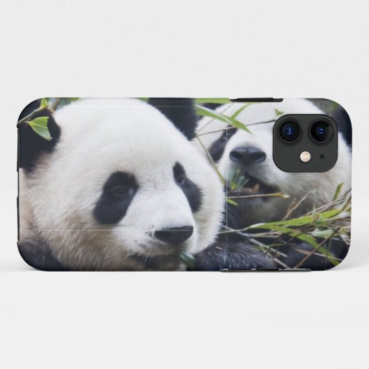 Panda Bear Hugs Case-Mate iPhone Hülle (Rückseite (Horizontal))