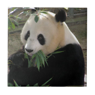 Panda Bear Hugs Fliese