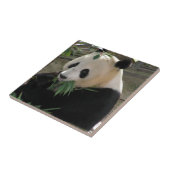 Panda Bear Hugs Fliese (Seite)