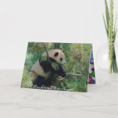 Panda Bear Hugs Karte (Rückseite)