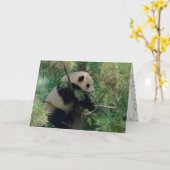 Panda Bear Hugs Karte (Gelbe Blume)