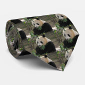 Panda Bear Hugs Krawatte (Gerollt)