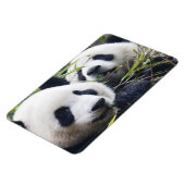 Panda Bear Hugs Magnet (Linke Seite)