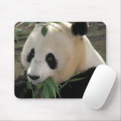 Panda Bear Hugs Mousepad (Mit Mouse)