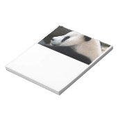 Panda Bear Hugs Notizblock (Rotiert)