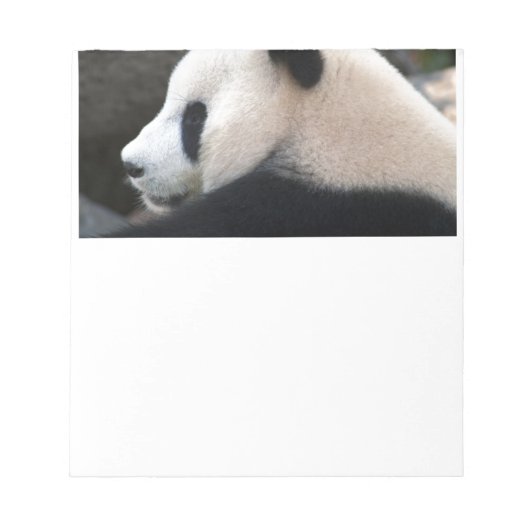 Panda Bear Hugs Notizblock (Vorderseite)