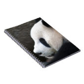 Panda Bear Hugs Notizblock (Rechte Seite)