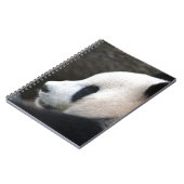 Panda Bear Hugs Notizblock (Linke Seite)