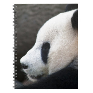 Panda Bear Hugs Notizblock