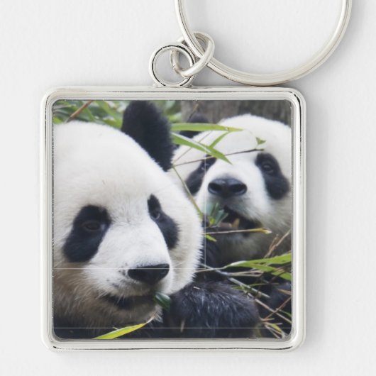 Panda Bear Hugs Schlüsselanhänger (Vorne)
