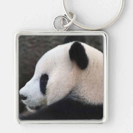 Panda Bear Hugs Schlüsselanhänger (Vorne)
