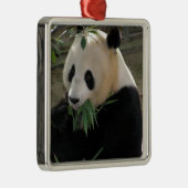 Panda Bear Hugs Silbernes Ornament (Rechts)