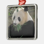 Panda Bear Hugs Silbernes Ornament (Links)