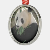 Panda Bear Hugs Silbernes Ornament (Links)