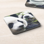 Panda Bear Hugs Untersetzer (Linke Seite)
