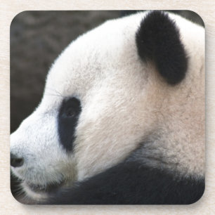 Panda Bear Hugs Untersetzer