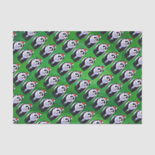 Panda Bear in Weihnachtsmannmütze auf Green Seidenpapier