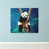 Panda Bear Leinwanddruck (Insitu (Holzboden))