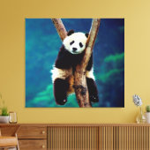 Panda Bear Leinwanddruck (Insitu (Wohnzimmer))