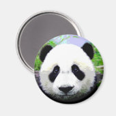 Panda Bear Magnet (Vorderseite/Rückseite)