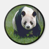 Panda Bear Magnet (Vorne)