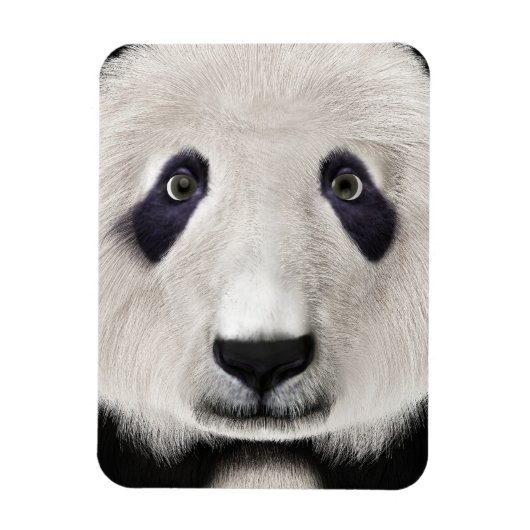 Panda Bear Magnet (Vertikal)