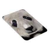 Panda Bear Magnet (Rechte Seite)