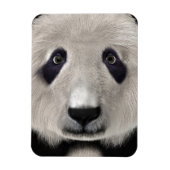 Panda Bear Magnet (Vertikal)