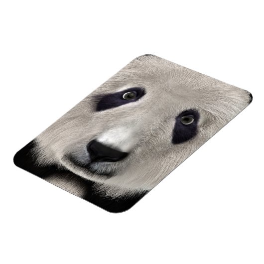 Panda Bear Magnet (Linke Seite)