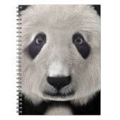 Panda Bear Notizblock (Vorderseite)