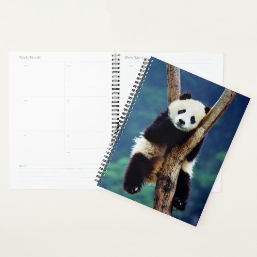 Panda Bear Planer (Anzeige)