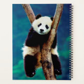 Panda Bear Planer (Rückseite)