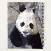 Panda Bear Planer (Rückseite)