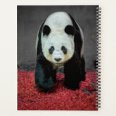 Panda Bear Planer (Rückseite)