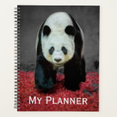 Panda Bear Planer (Vorderseite)
