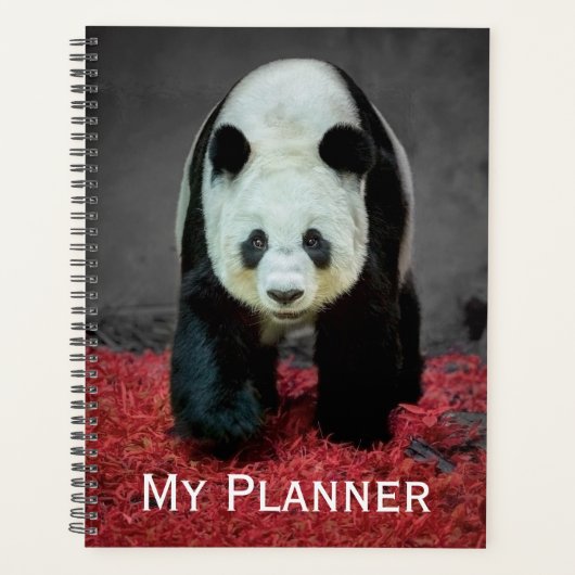 Panda Bear Planer (Vorderseite)