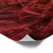 Panda Bear Poster (Ecke)