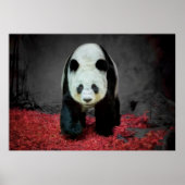 Panda Bear Poster (Vorne)