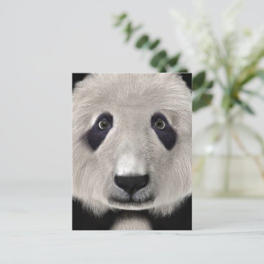 Panda Bear Postkarte (Stehend Vorderseite)