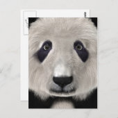Panda Bear Postkarte (Vorne/Hinten)