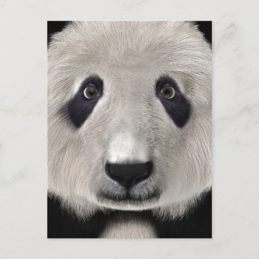 Panda Bear Postkarte (Vorderseite)