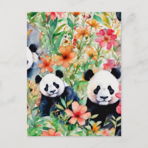 Panda Bear Postkarte